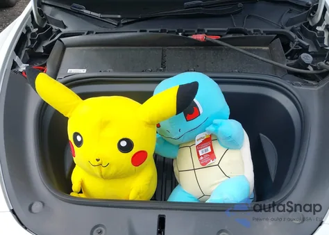 2024 Tesla Model Y Long Range Dual Motor All-Wheel Drive from USA, damaged, VIN 7SAYGDEE9RA221671